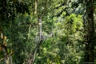 Gunung Mulu Nationalpark, Borneo