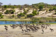 Makgadikgadi Nationalpark, Botswana