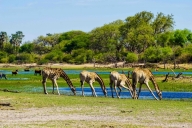 Makgadikgadi Nationalpark, Botswana