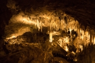 2018-03-19-carlsbad-caverns-np-new-mexico00401