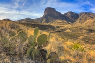 2018-03-19-guadalupe-mountains-np-new-mexico6